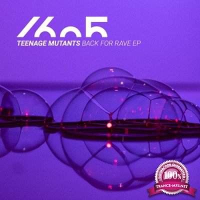 Teenage Mutants - Back For Rave EP (2022)
