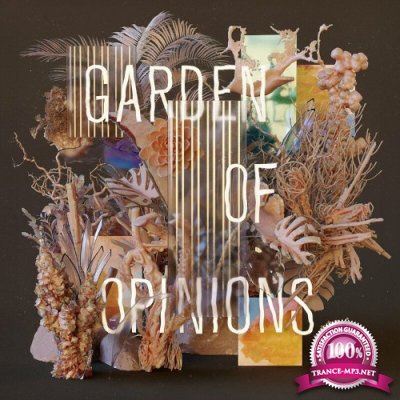 Footprint Project - Garden of Opinions (2022)