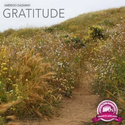 Amerigo Gazaway - Gratitude (2022)