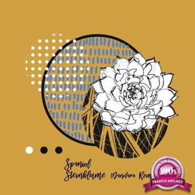 Spaniol - Steinblume (Incl. Dandara Remix) (2022)