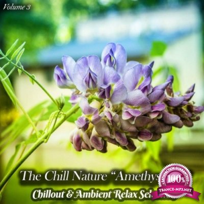 The Chill Nature "Amethyst Iris", Vol. 3 (Chillout & Ambient Relax Selection) (2022)