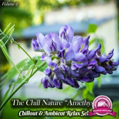 The Chill Nature "Amethyst Iris", Vol. 2 (Chillout & Ambient Relax Selection) (2022)