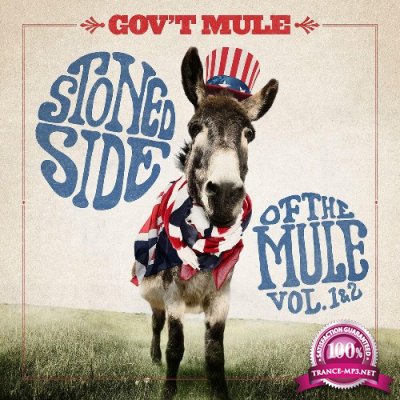 Govt Mule - Stoned Side Of The Mule, Vol. 1 & 2 (2022)