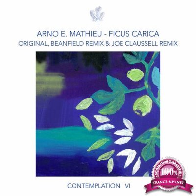 Arno E. Mathieu - Contemplation VI - Ficus Carica (2022)