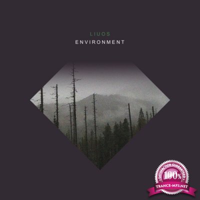 Liuos - Environment (2022)