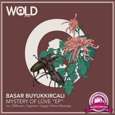Basar Buyukkircali - Mystery of Love (2022)