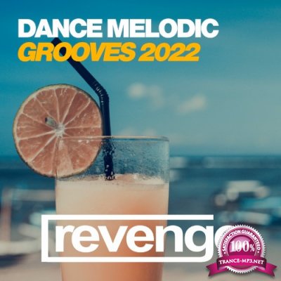 Dance Melodic Grooves 2022 (2022)