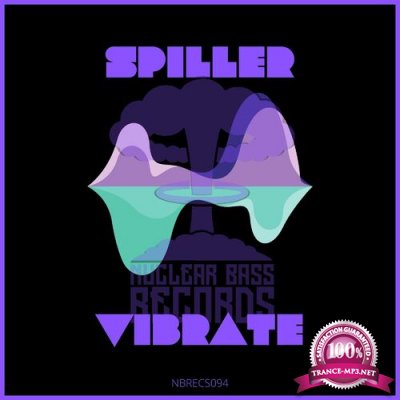 Spiller - Vibrate (2022)