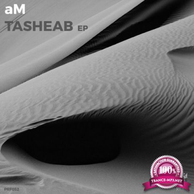 AM - Tasheab EP (2022)