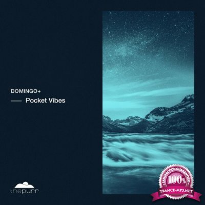 Domingo - Pocket Vibes (2022)