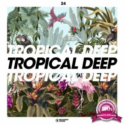 Tropical Deep, Vol. 24 (2022)