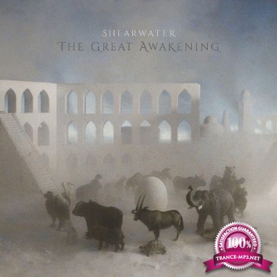 Shearwater - The Great Awakening (2022)
