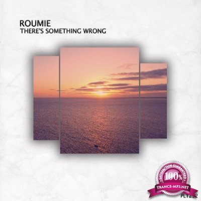 Roumie - There's Something Wrong (2022)