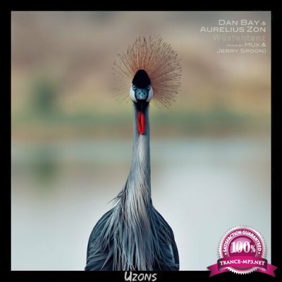 Dan Bay & Aurelius Zon - Wustentanz (Remixes) (2022)