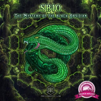 Sbio & Pineal - The Mystery of the Black Obsidian (2022)