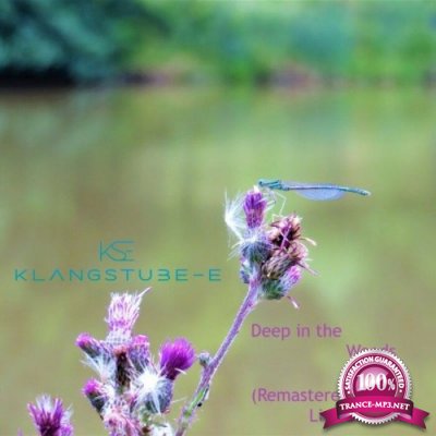 Klangstube-E - Deep In The Woods (Remastered 2018 Live Sessions) (2022)