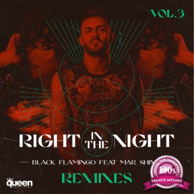 Black Flamingo feat Mar Shine - Right In The Night, Vol 3 (The Remixes) (2022)