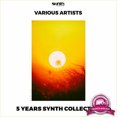 5 Years Synth Collective (2022)