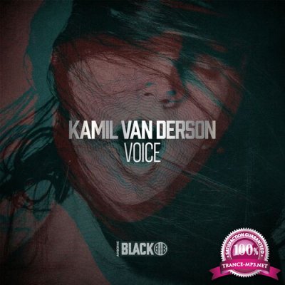 Kamil van Derson - Voice (2022)