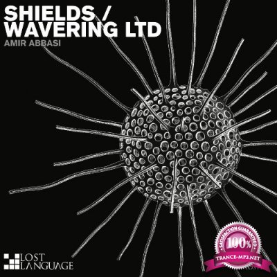 Amir Abbasi - Shields / Wavering LTD (2022)