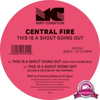 Central Fire - This Is A Shout Going Out (2022)