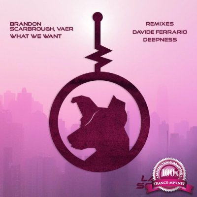 Brandon Scarbrough & Vaer - What We Want (2022)