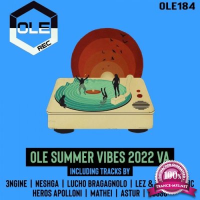 Ole Summer Vibes 2022 VA (2022)