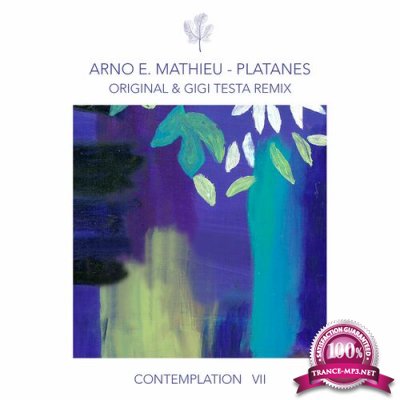 Arno E. Mathieu - Contemplation VII - Platanes (2022)