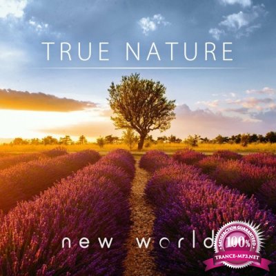 New World - True Nature (2022)