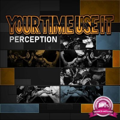 Your Time Use It - Perception (2022)