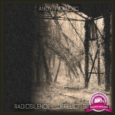 Andy Pickford - Radiosilence Derelict Spaces (Ambient Moog Subharmonicon) (2022)