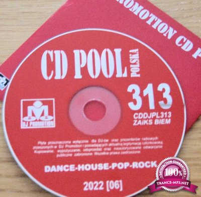 DJ Promotion CD Pool Polska 313 (2022)