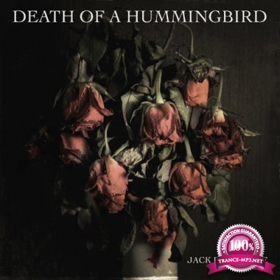 Jack Barksdale - Death Of A Hummingbird (2022)
