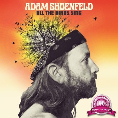 Adam Shoenfeld - All The Birds Sing (2022)