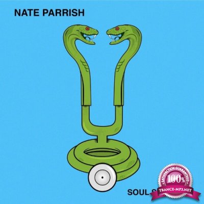 Nate Parrish - Soul Surgery (2022)