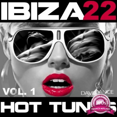 IBIZA 22 HOT TUNES VOL. 1 (2022)
