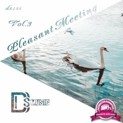Pleasant Meeting, Vol. 3 (2022)