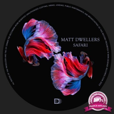 Matt Dwellers - Safari (2022)
