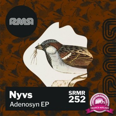 Nyvs - Adenosyn EP (2022)