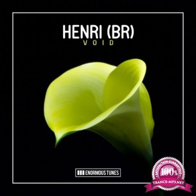 Henri (BR) - Void (2022)