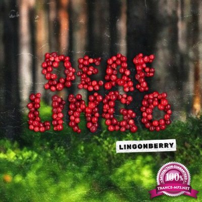 Deaf Lingo - Lingonberry (2022)