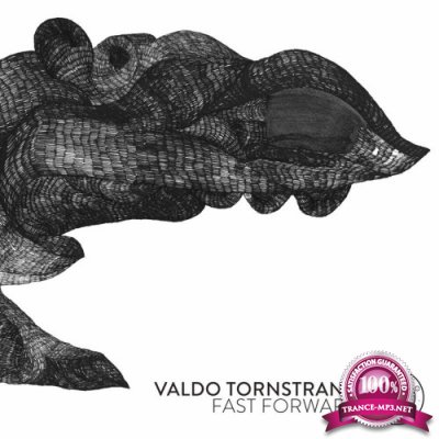 Valdo Tornstrand - Fast Forward (2022)
