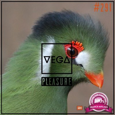Vega Z - Pleasure 291 (2022-07-13)