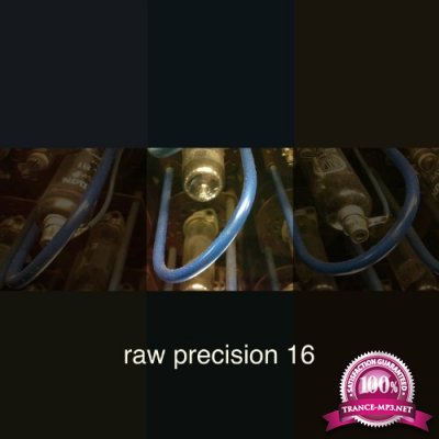 Raw Precision 16 (2022)