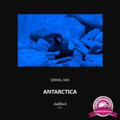 Serval (AR) - Antarctica (2022)