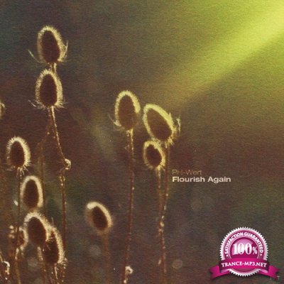 PH-Wert - Flourish Again (2022)