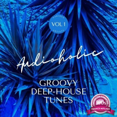 Audioholic (Groovy Deep-House Tunes), Vol. 1 (2022)