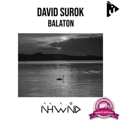 David Surok - Balaton (2022)