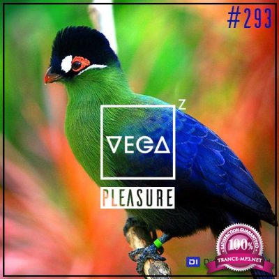 Vega Z - Pleasure 293 (2022-07-27)