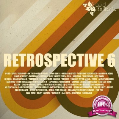 Retrospective 6 (2022)